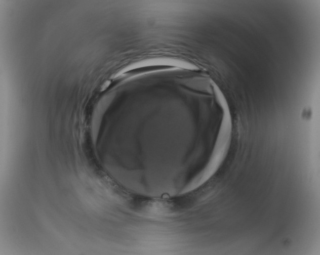 X0000113950223200910232014
