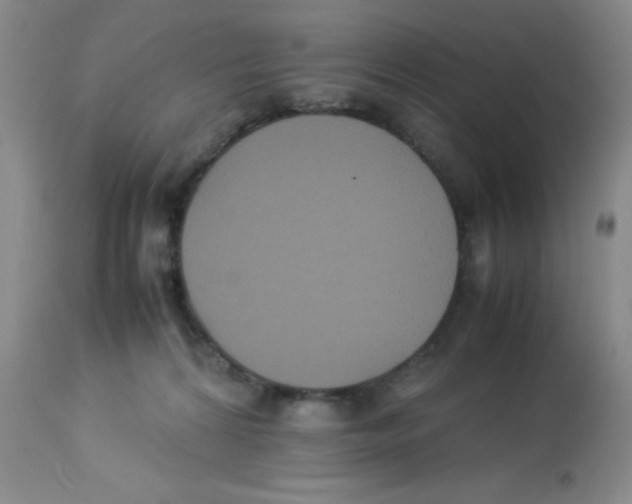 X0000113950224200910232014