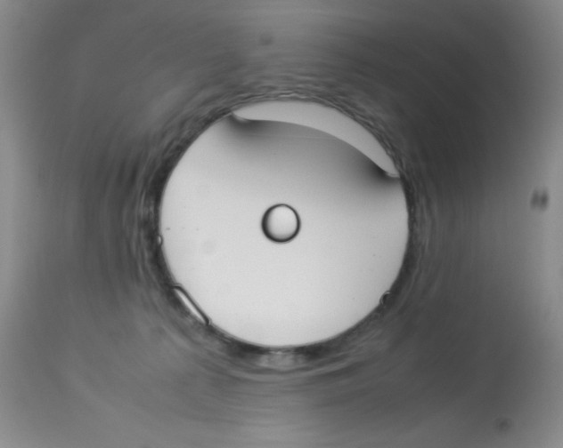 X0000113950225200910232014