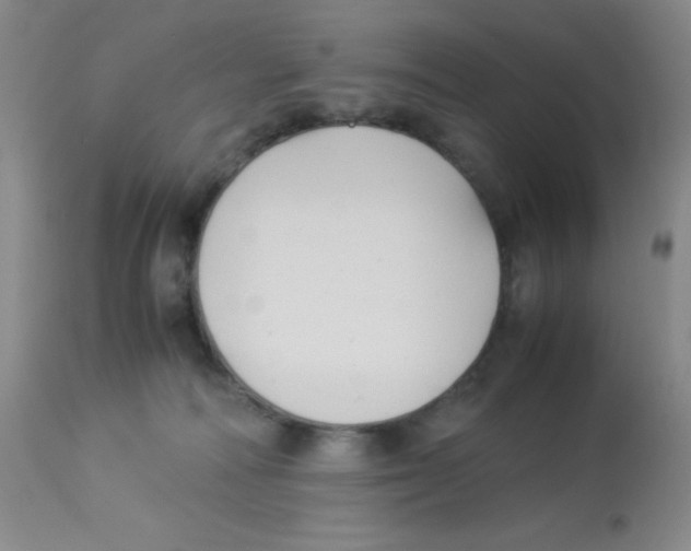 X0000113950226200910232013