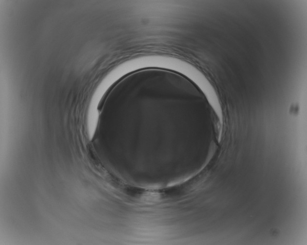 X0000113950227200910232013