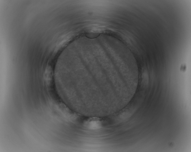 X0000113950228200910232013