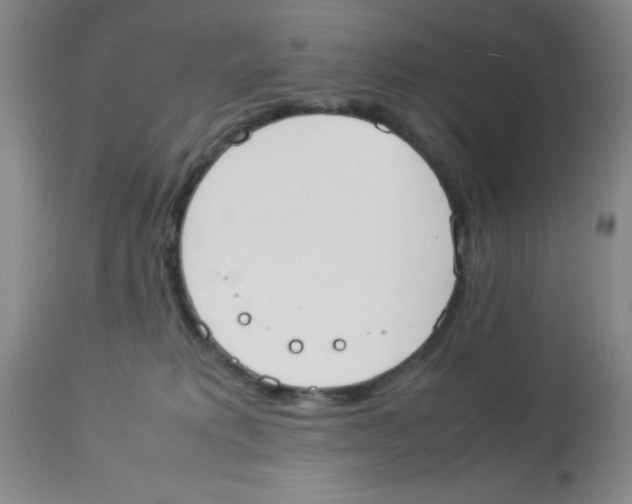 X0000113950229200910232013