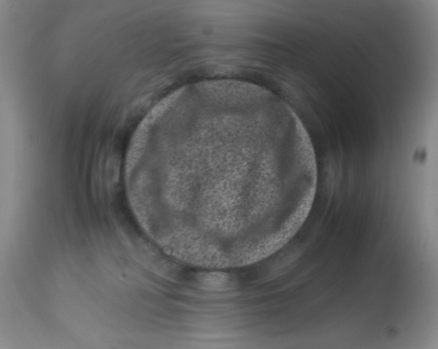 X0000113950230200910232013