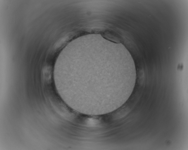 X0000113950232200910232013