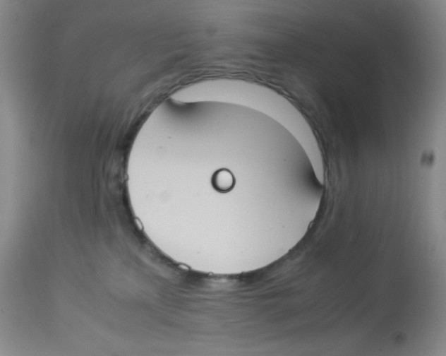 X0000113950233200910232013