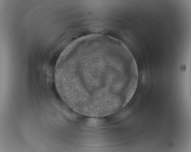 X0000113950234200910232013