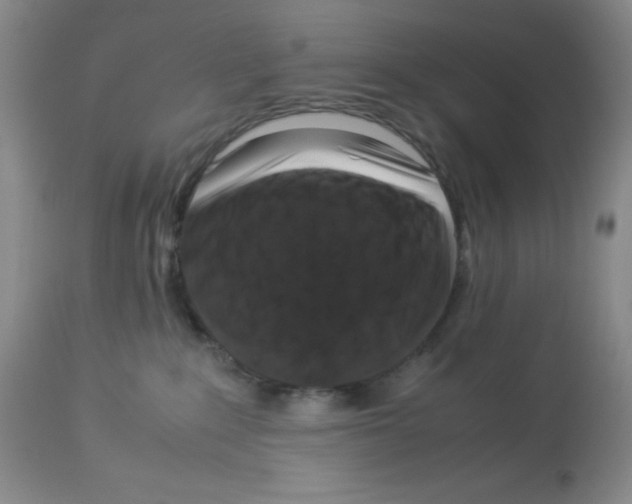 X0000113950235200910232013