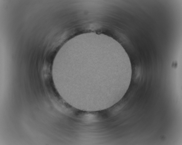 X0000113950236200910232013