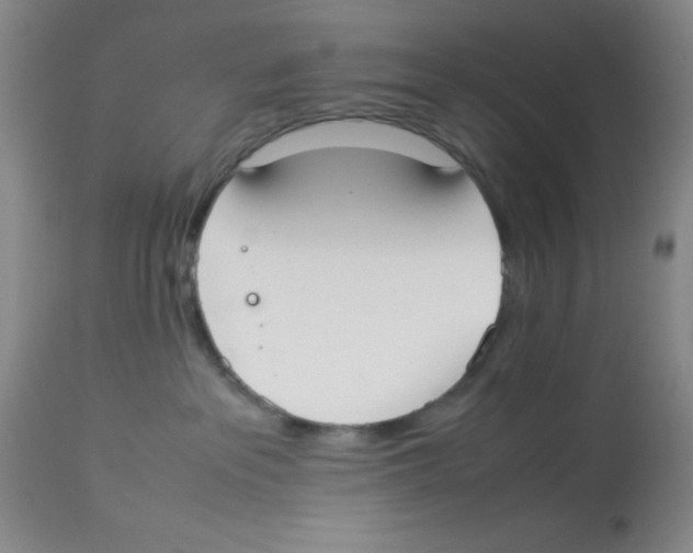 X0000113950237200910232013
