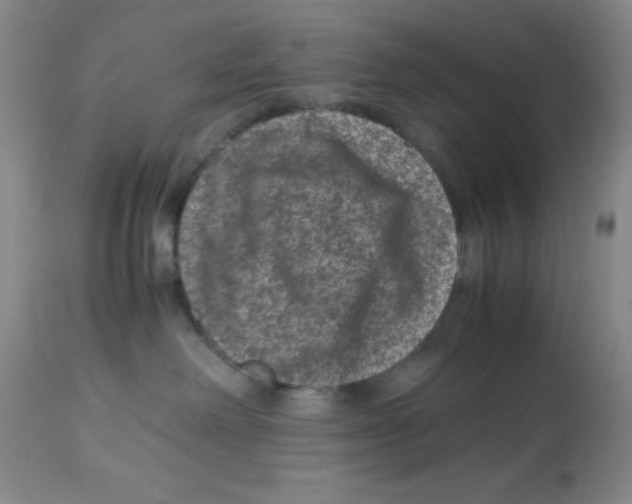X0000113950238200910232013