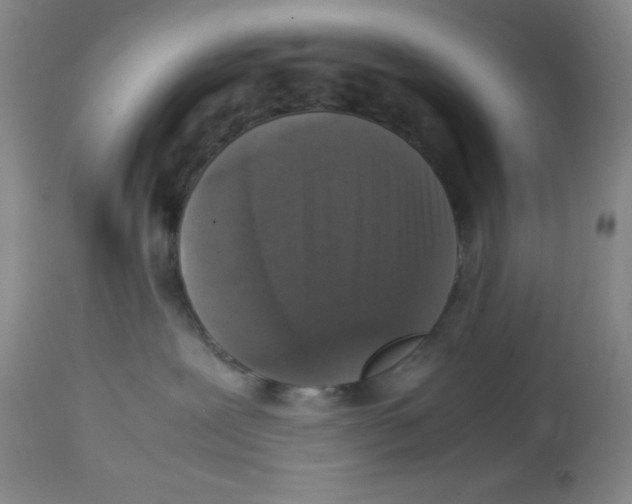 X0000113950239200910232013