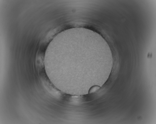 X0000113950240200910232013