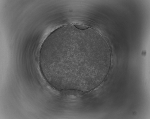 X0000113950241200910232012