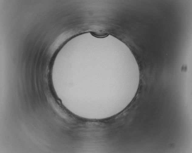 X0000113950242200910232012