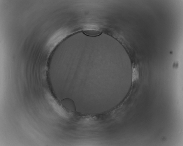 X0000113950243200910232013
