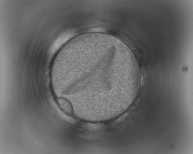 X0000113950245200910232013