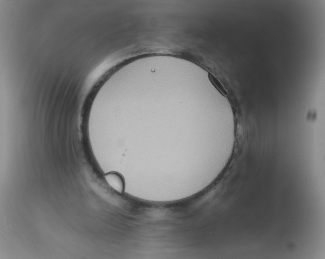 X0000113950246200910232013