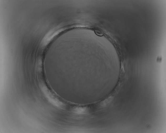 X0000113950247200910232013