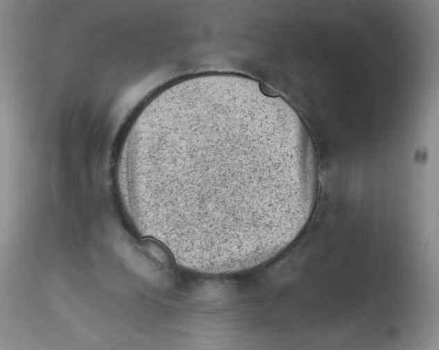X0000113950248200910232013