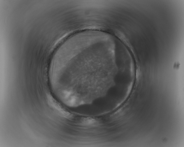 X0000113950249200910232013