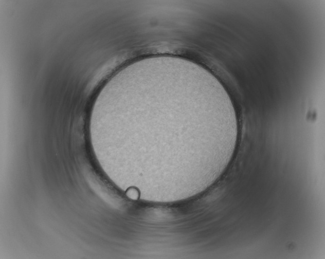 X0000113950250200910232013