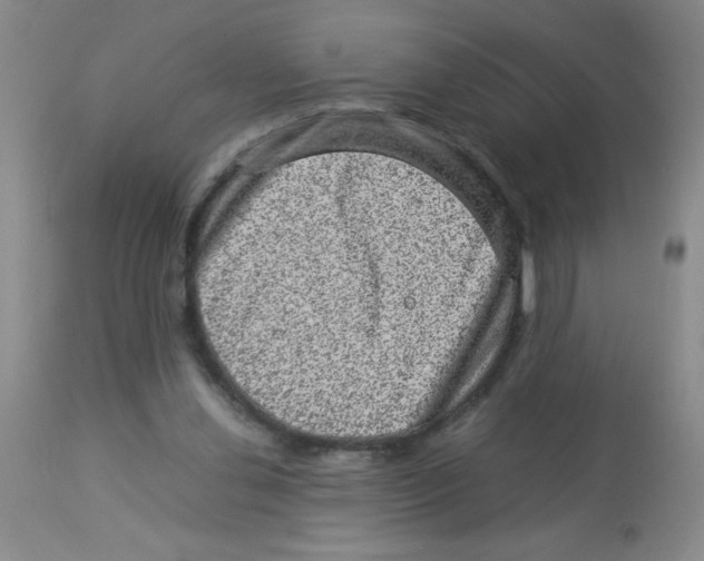 X0000113950252200910232013