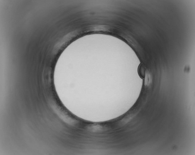 X0000113950253200910232013