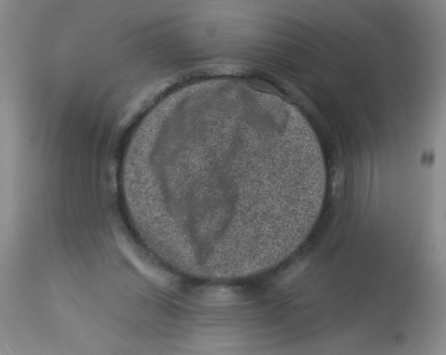 X0000113950254200910232013