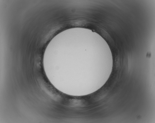 X0000113950255200910232013