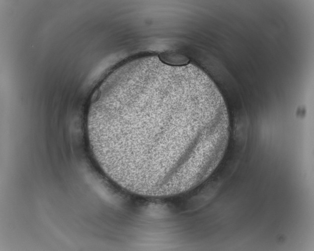 X0000113950256200910232013