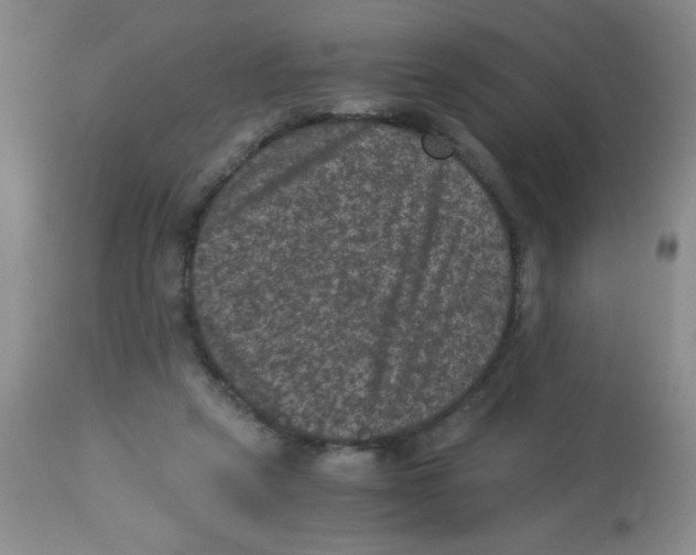 X0000113950257200910232013