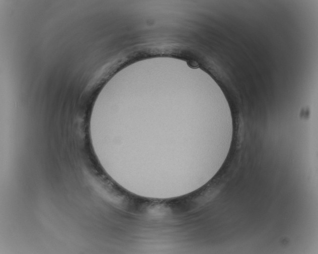 X0000113950258200910232013