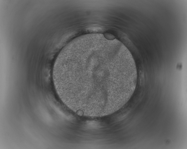 X0000113950259200910232013