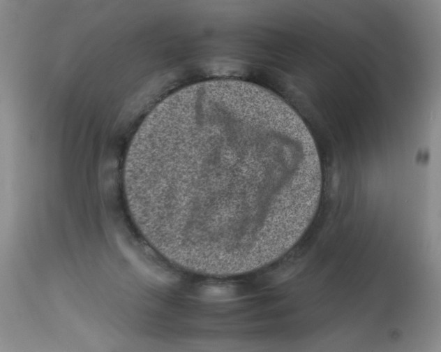 X0000113950263200910232013