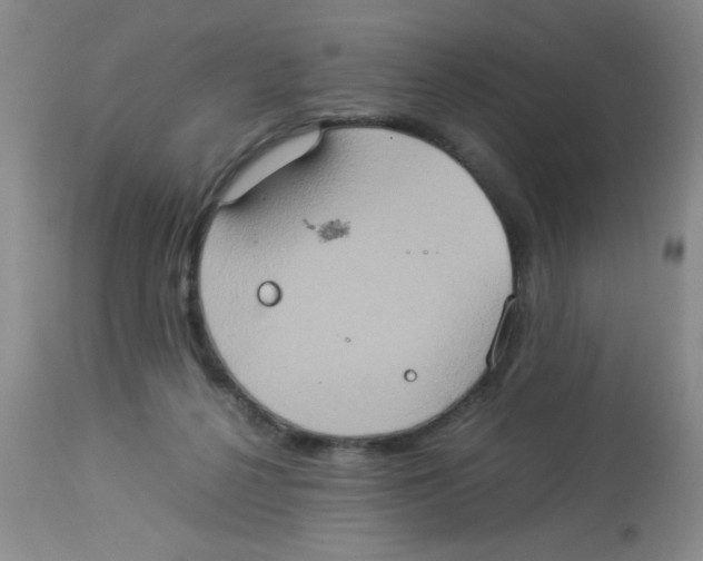 X0000113950264200910232013
