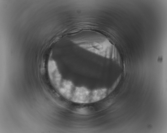 X0000113950267200910232013