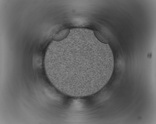 X0000113950268200910232013