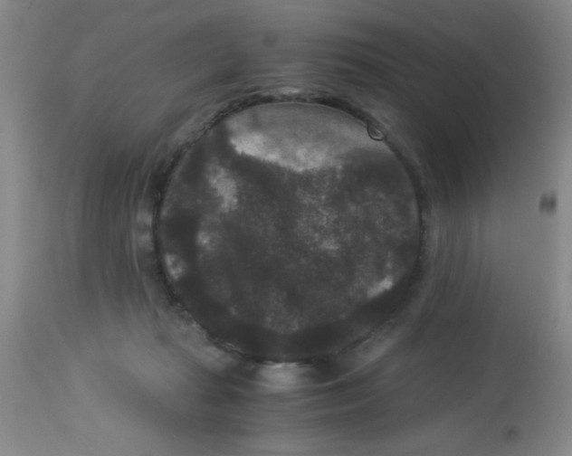 X0000113950269200910232013
