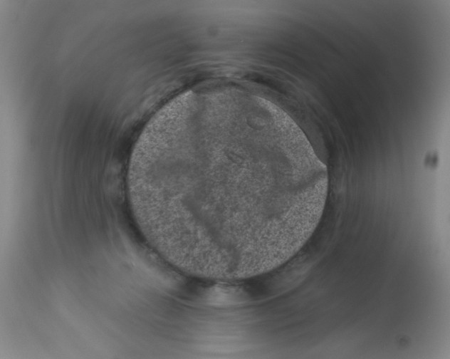 X0000113950270200910232013