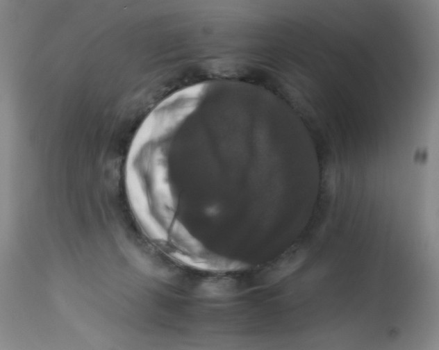 X0000113950271200910232013