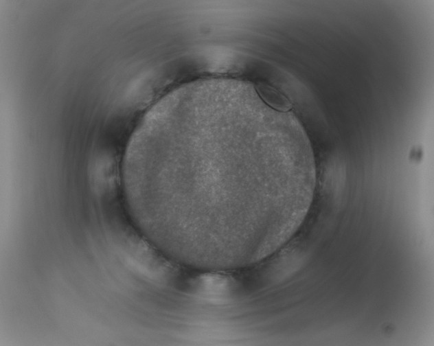 X0000113950272200910232013
