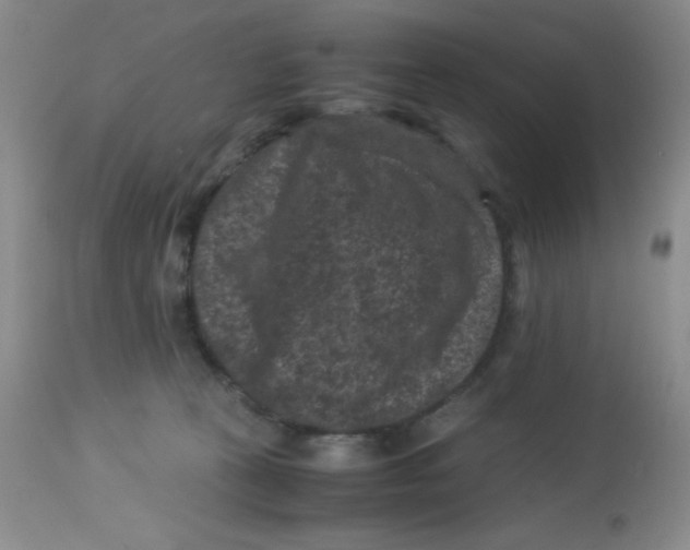 X0000113950273200910232013