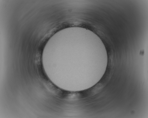 X0000113950274200910232013