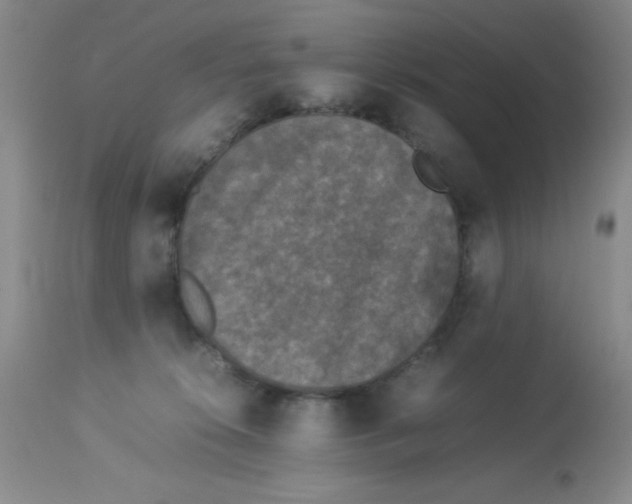 X0000113950276200910232013