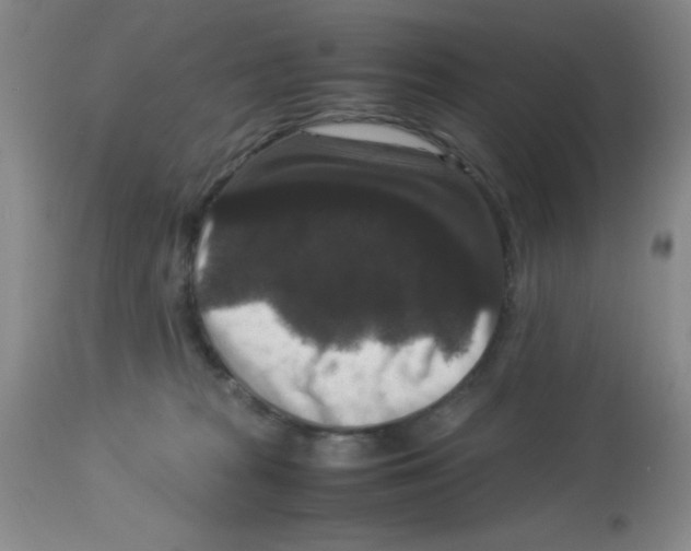 X0000113950277200910232013