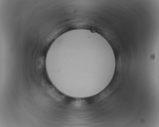 X0000113950278200910232013
