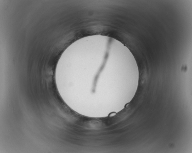 X0000113950279200910232013
