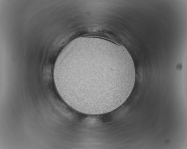X0000113950280200910232013
