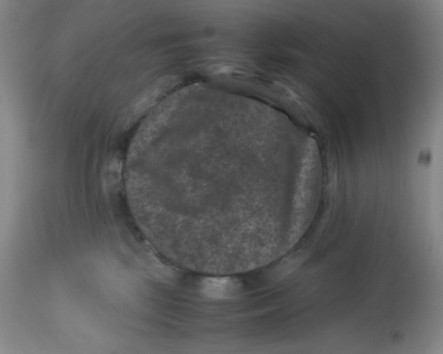 X0000113950281200910232013